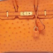 Сумка Hermes Birkin 25 из кожи страуса